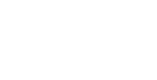 Bravino Wine Concept